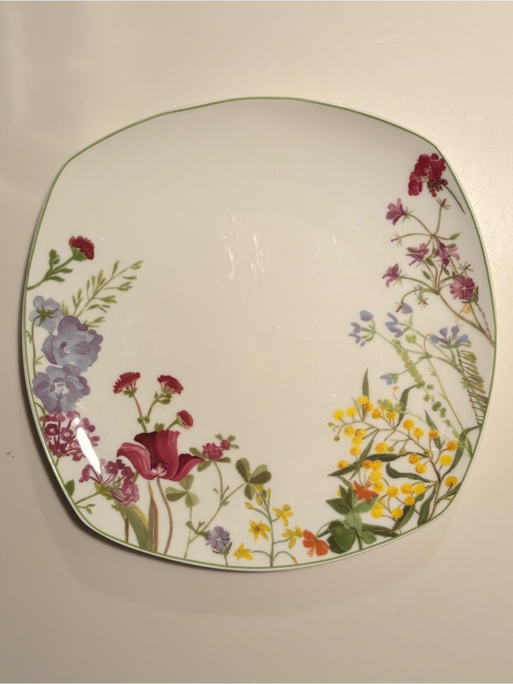 Mikasa Wildflower Turnowsky Dinner Plate Bone China Floral Botanical